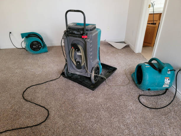 Best 24/7 water damage repair  in New Union, TN