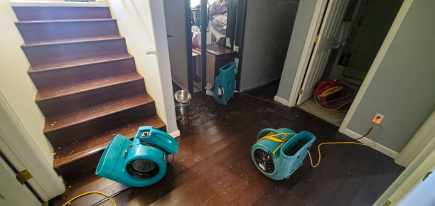 Best Flooded house restoration  in New Union, TN