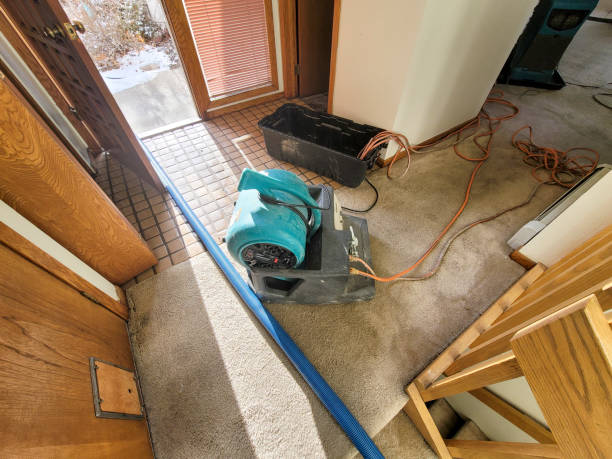 Best Local water damage restoration  in New Union, TN