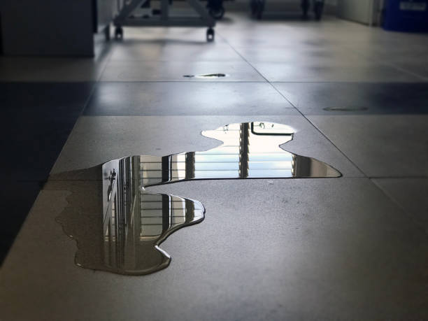 Best Water damage restoration process  in New Union, TN