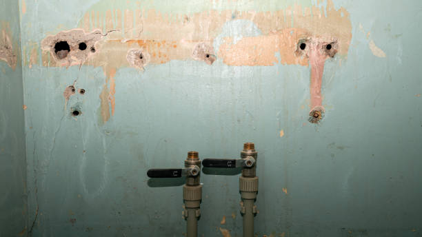 Best Sewage cleanup and water damage restoration  in New Union, TN